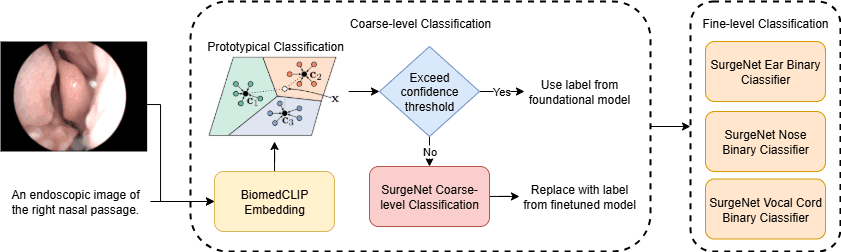 Fusion at the Foregut: CLIP-Based Prototypical Learning with DINOv2 Refinement for Endoscopic Image Analysis